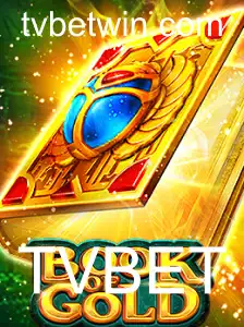 Descubra o Fascinante Universo de BookofGold com TVBET
